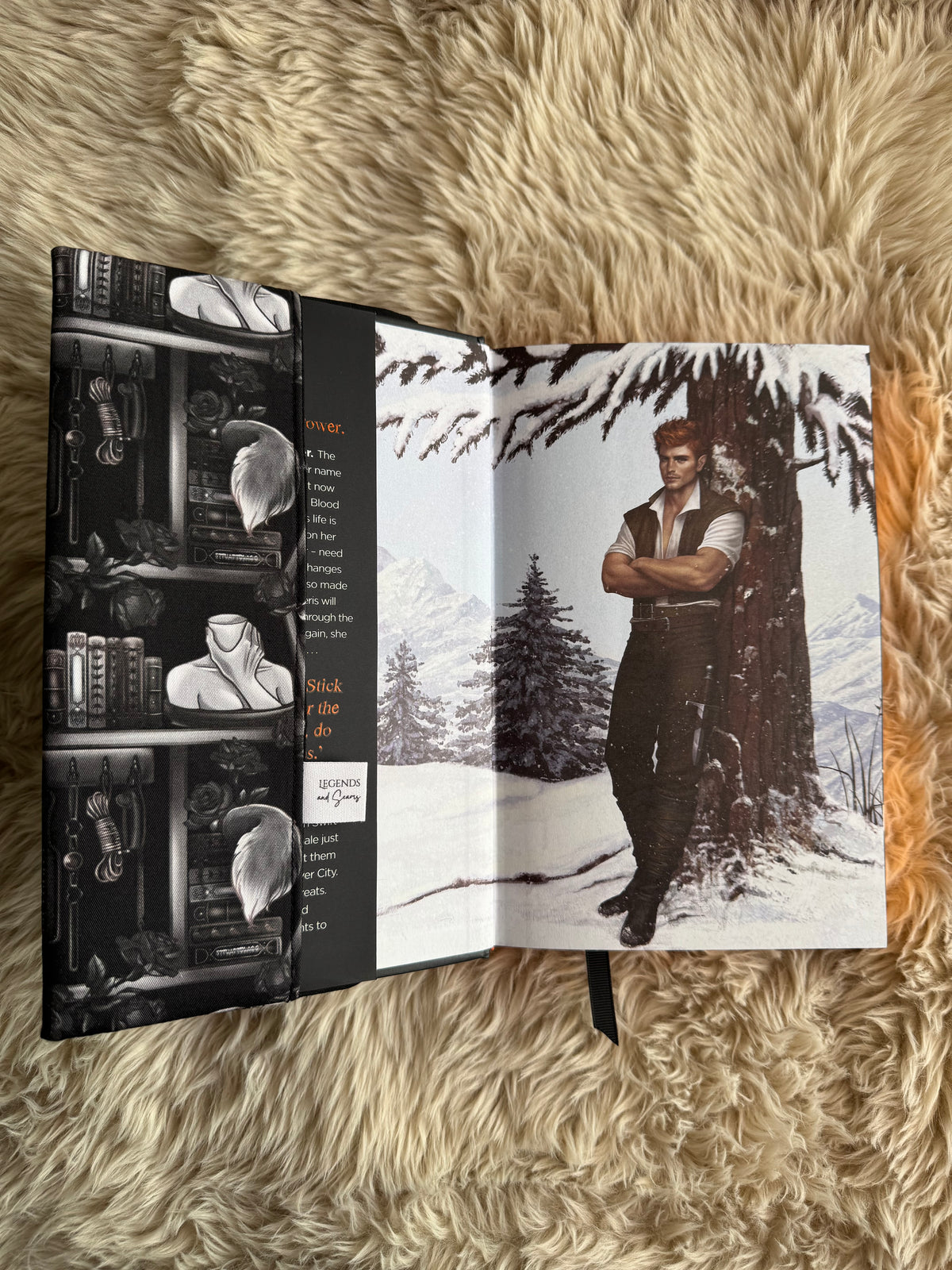 Dark romance shelves dust jacket (Black)
