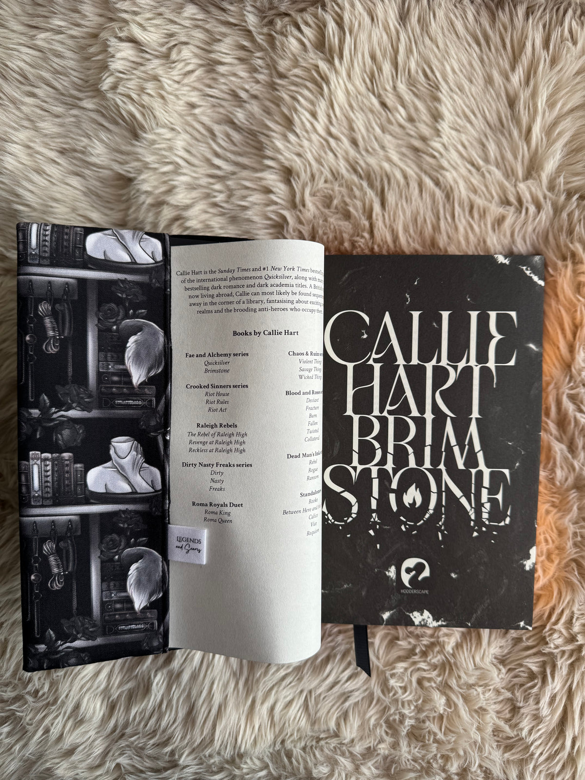 Dark romance shelves dust jacket (Black)