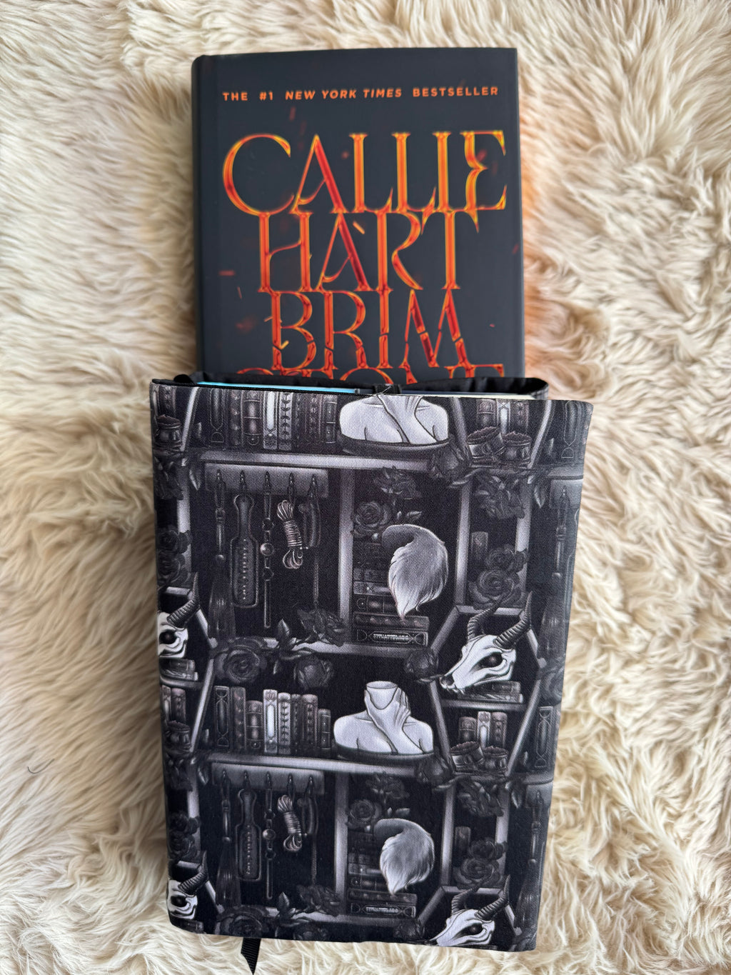 Dark romance shelves dust jacket (Black)